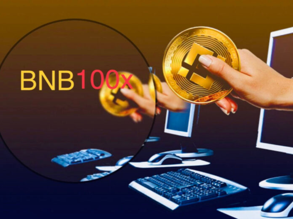 BNB100X