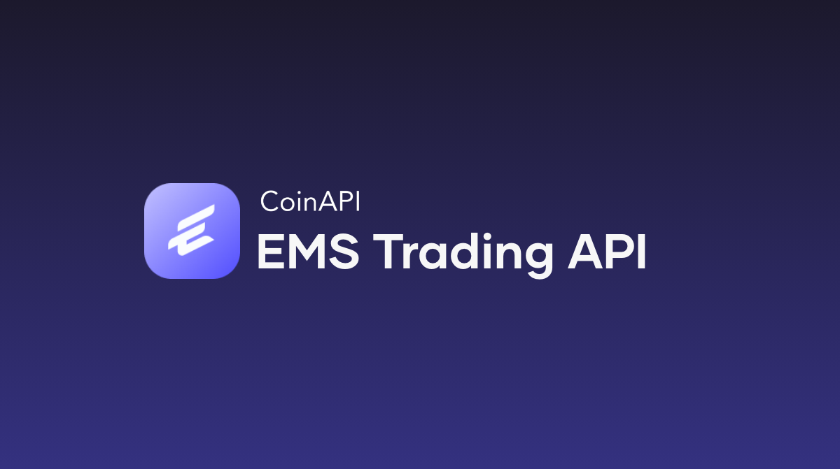Introducing EMS Trading API: a turnkey solution to carry out multiple crypto transactions through a single account