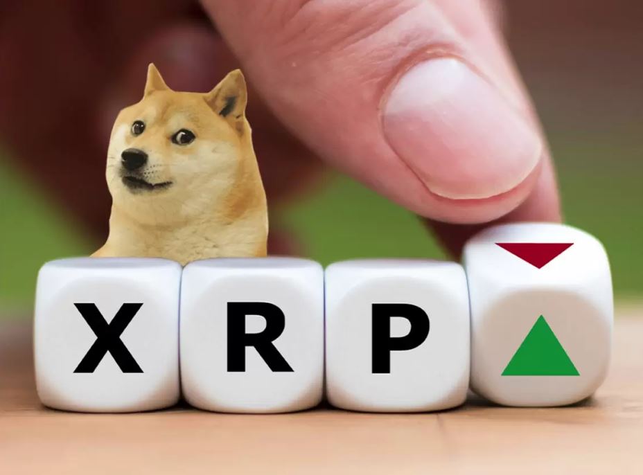 Pushd’s Presale Slots Snapped Up by Ripple and Dogecoin Investors Eyeing E-Commerce Supremacy