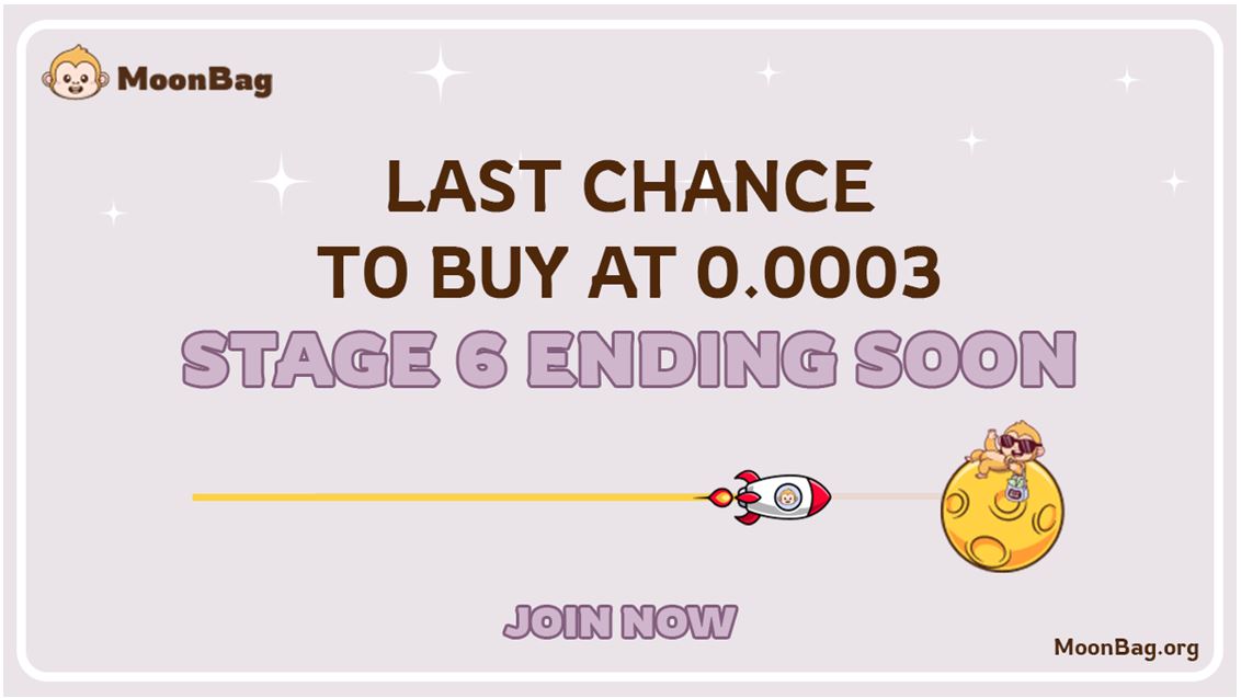 moonbag 65