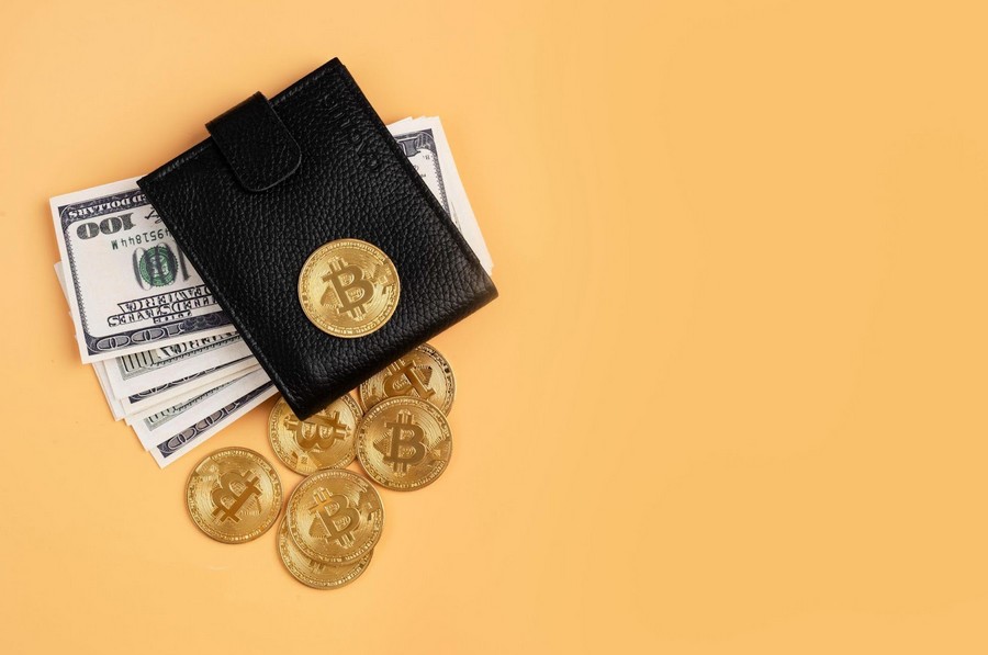 bitcoin 100